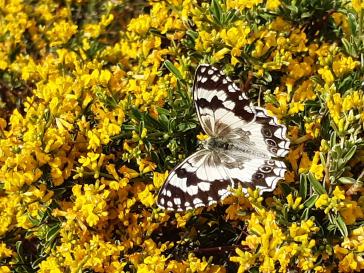 Η φωτογραφία της ημέρας