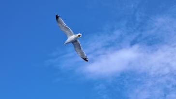 Η φωτογραφία της ημέρας