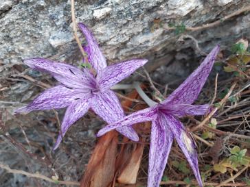 Η φωτογραφία της ημέρας