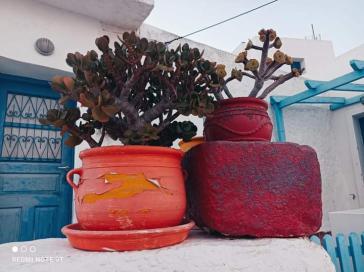 Η φωτογραφία της ημέρας