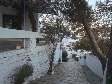 Η φωτογραφία της ημέρας