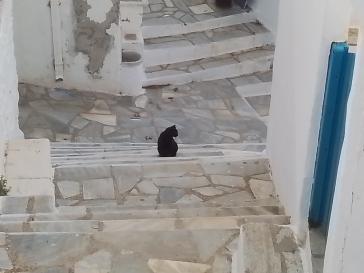 Η φωτογραφία της ημέρας 