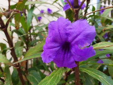 Η φωτογραφία της ημέρας