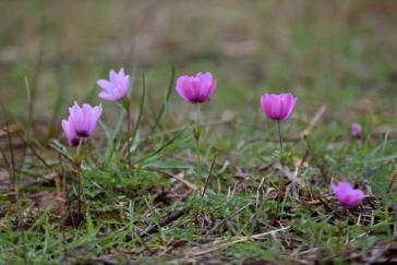 Η φωτογραφία της ημέρας