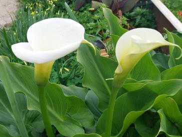 Η φωτογραφία της ημέρας