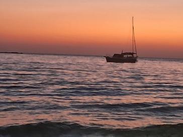 Η φωτογραφία της ημέρας