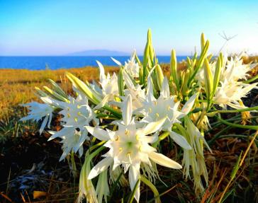 Η φωτογραφία της ημέρας