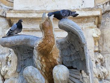 Η φωτογραφία της ημέρας