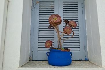 Η φωτογραφία της ημέρας