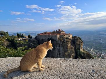 Η φωτογραφία της ημέρας