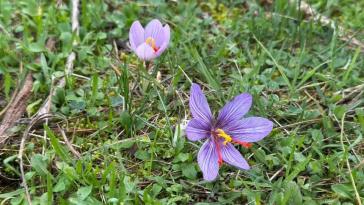 Η φωτογραφία της ημέρας
