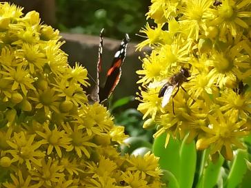Η φωτογραφία της ημέρας