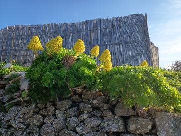 Η φωτογραφία της ημέρας