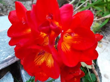 Η φωτογραφία της ημέρας