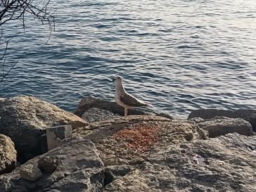 Η φωτογραφία της ημέρας