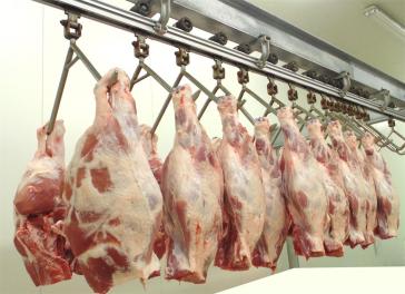 Ανανκοίνωση για τους Κτηνοτρόφους και τους ζωέμπορους 