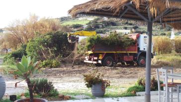 Η «ρίζα» του κακού