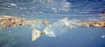 Απαιτείται ισχυροποίηση της πρόληψης για τα θαλάσσια απορρίμματα