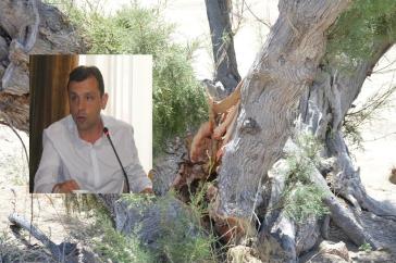 Επηρμένη αντιμετώπιση των φθορών