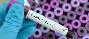 Αρνητικά και τα τελευταία δείγματα στην Ήπειρο