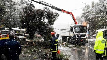 Στο τέλος, απλώς θα φταίνε τα δέντρα… 