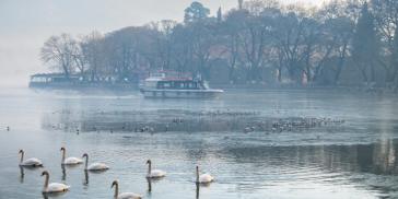 Η ευκαιρία της βιοποικιλότητας για το Δήμο Ιωαννιτών