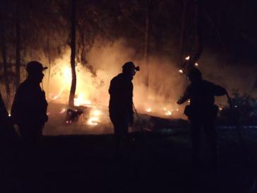 Φωτιά στη Δαδιά: Τα “καμπανάκια” που δεν ακούστηκαν ποτέ…