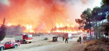 Μεγάλη οικολογική καταστροφή στο δάσος της Δαδιάς
