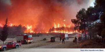 Δαδιά: Συνεχίζεται για έβδομη ημέρα η πυρκαγιά 
