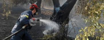 Συνεχίζεται για 6η ημέρα η φωτιά στην ΔΕ Πολιχνίτου
