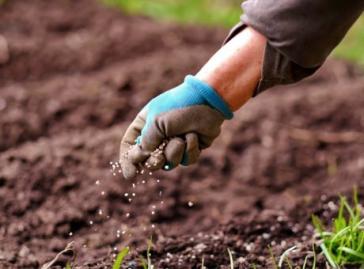 Την επάρκεια λιπασμάτων «βλέπει» η Κομισιόν για λύση του επισιτιστικού 