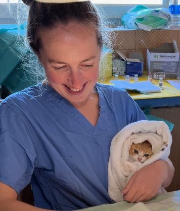 Πρόγραμμα εθελοντικής δράσης για τις αδέσποτες γάτες στη Δήλο