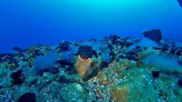 Μεγάλος κρατήρας μάγματος στο υποθαλάσσιο ηφαίστειο της Σαντορίνης 