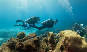 Στο προσκήνιο ο καταδυτικός τουρισμός