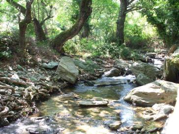 Στόχος η ανάπτυξη του φυσιολατρικού τουρισμού