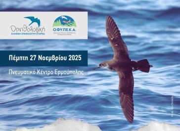 "Η Σύρος των θαλασσοπουλιών" στο Πνευματικό Κέντρο Ερμούπολης