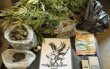 Ρόδος: Συνελήφθη 33χρονος ημεδαπός για εσωτερικού τύπου καλλιέργεια κάνναβης