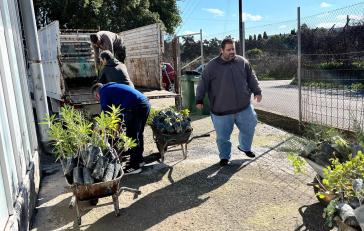 Περιφερειακό Φυτώριο Νοτίου Αιγαίου: Πάνω από 2.000 φυτά σε δήμους, σχολεία και κοινότητες των νησιών 
