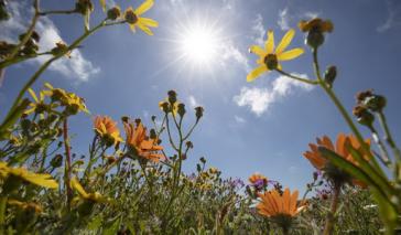 Καιρός: Συνεχίζονται οι ανοιξιάτικες ημέρες